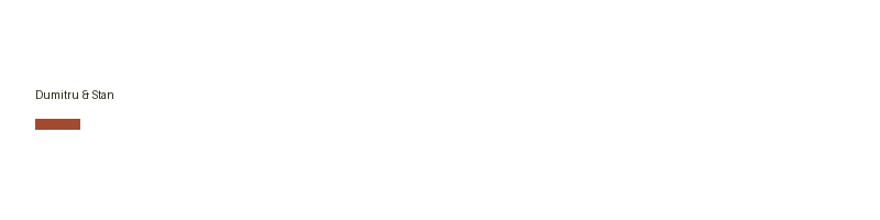 Dumitru & Stan logo